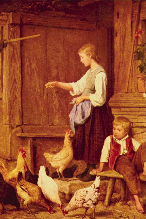 庭で。 子供と鶏