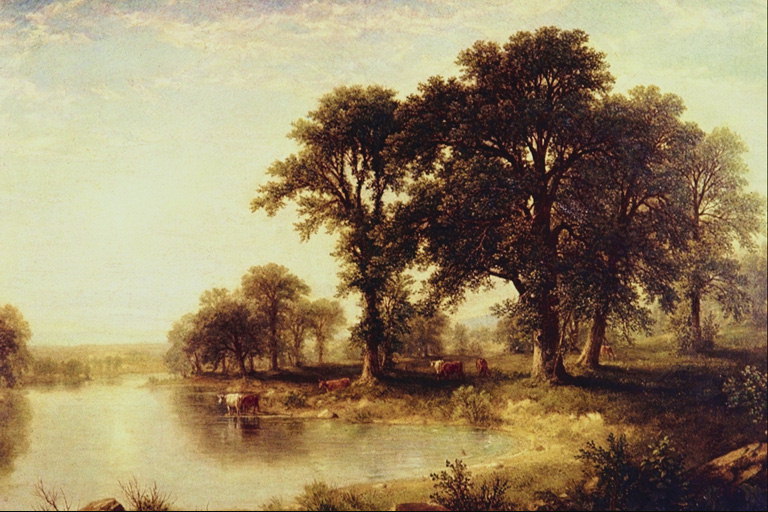 Træer ved dammen