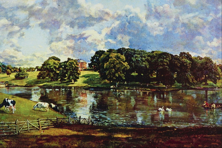 Swans na lagoa