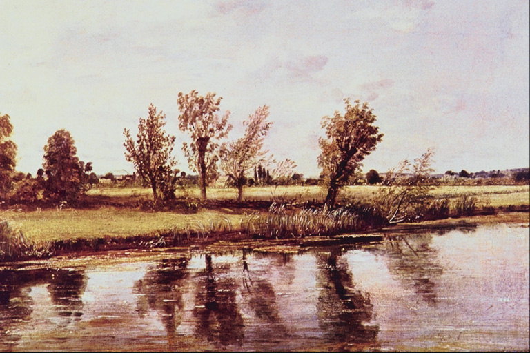 Prikaz drevesa v vodo