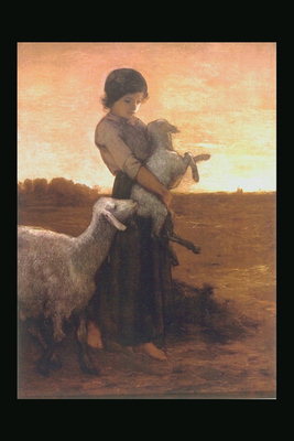 子羊と女の子