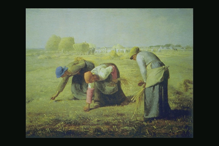 Mulheres na colheita campo