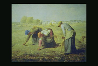 Kvinner i høst feltet