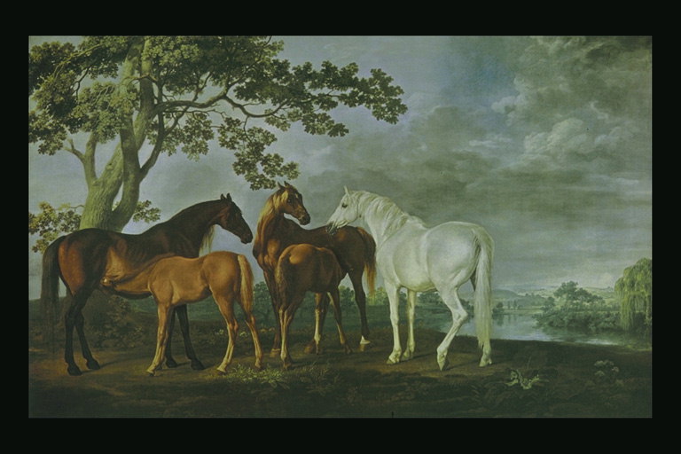 Hästar på en äng i närheten av floden