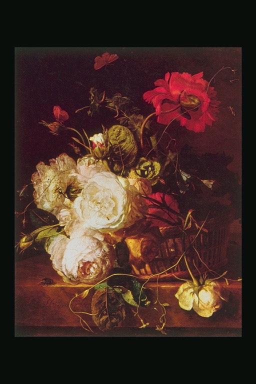 الورود ، وزهرة الفاوانيا