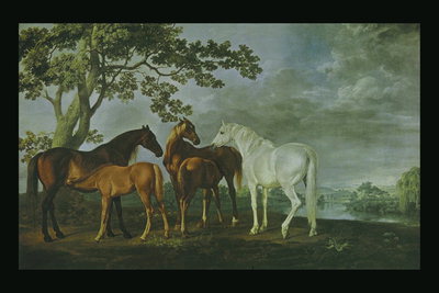 Cavalls en un prat a prop del riu