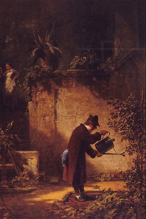 Vīrietis dzirdina ziedi