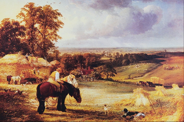 Mladý muž na konoch tmavo-hnedá farba