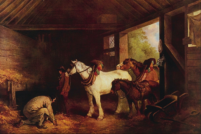 Cavalli in persiane