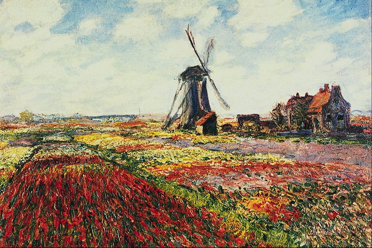 Mills entre os campos de flores