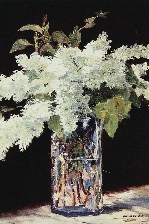 Snow-white ramos de um lilás em um vaso de vidro