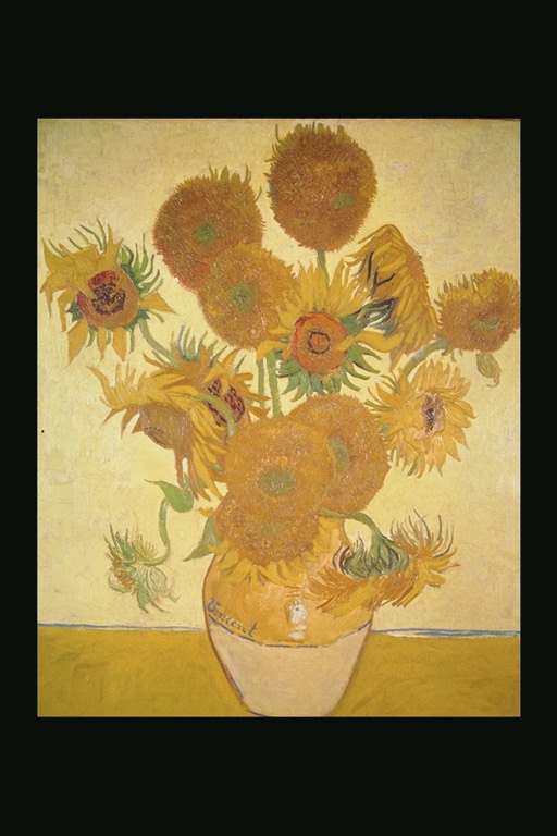 Sunflowers në një vazo