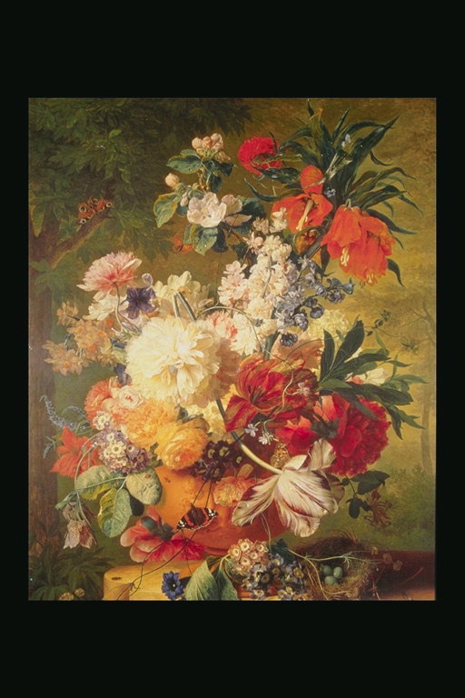A bouquet of hoa và bướm