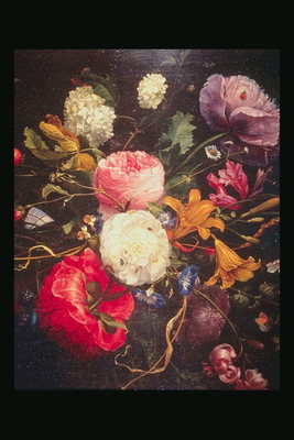Peony, Dahlia og feltet blomster