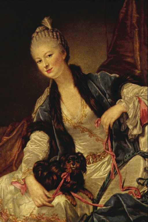 Nainen turkiskaupan viitta. Koiran kanssa vaaleanpunainen nauha hänen polvilleen