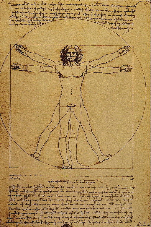 Leonardo da Vinci piešinys. Teisingas žmogaus kūno proporcijas
