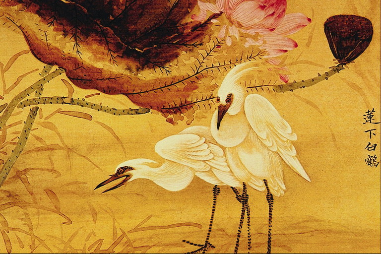 Vögel mit langen Beinen und weißem Gefieder