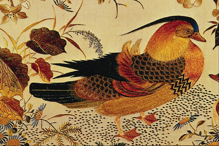 Птах серед осіннього листя