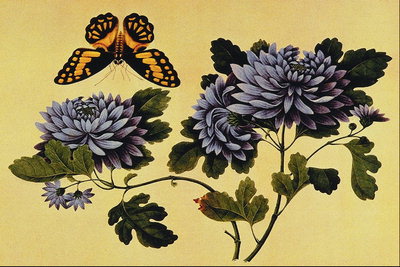 Farfalla su un fiore di colore lilla