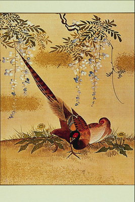 Pheasant among flowering branches