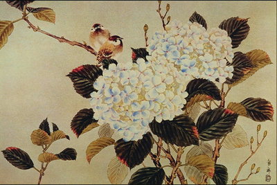 De tak van witte bloemen en vogels