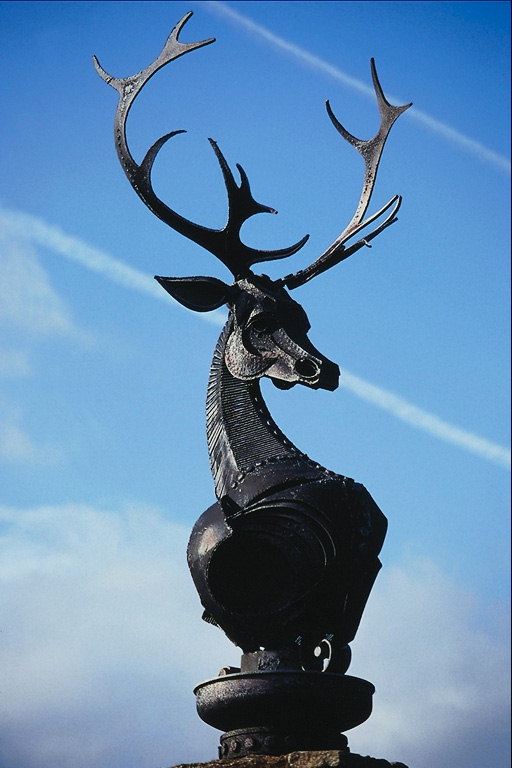 Horn deer