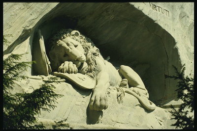 Λέων κατά τη διάρκεια του ύπνου σε μια σπηλιά