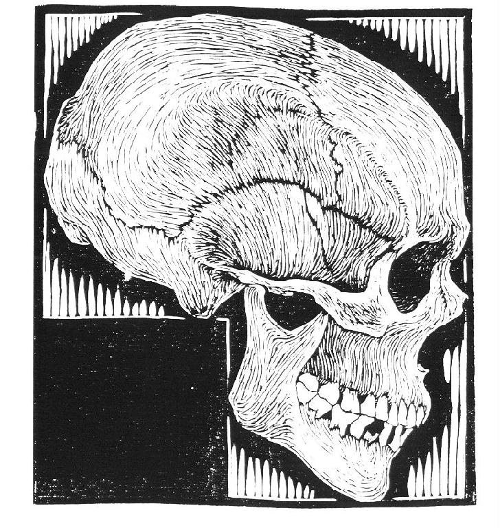 人間の頭骨