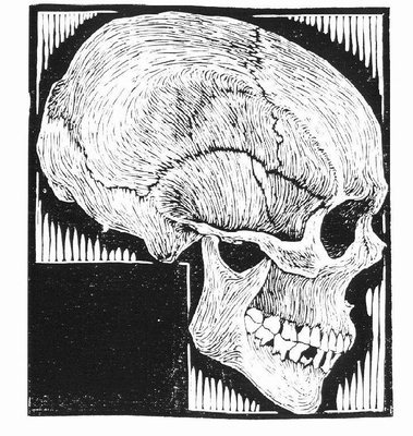 Crânio humano