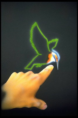 La main et fredonnant des oiseaux