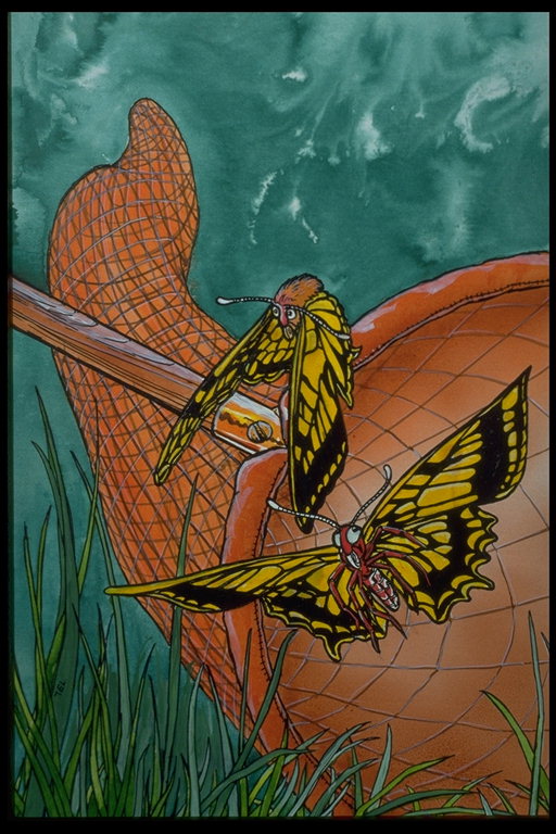 Метелик з помаранчевими крилами