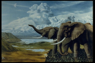 Слонове на фона на плътни облаци