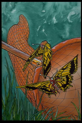 Turuncu kanatları ile Kelebekler
