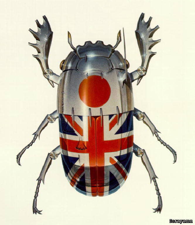 Beetle with steel American flag pattern on the back