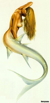 Shark Tail and body girl