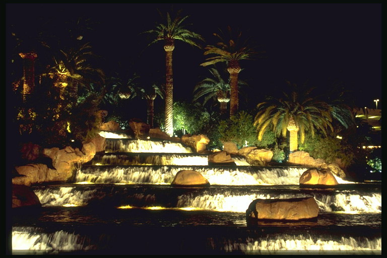 نوافير ليلة في لاس فيغاس. أشجار النخيل الجميلة بالقرب من نافورة