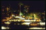 在拉斯维加斯夜喷泉。 美丽的喷泉附近的棕榈树