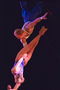 Acrobatics Art trained bodies