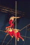 Цирковые гимнасты демонстрируют акробатическое искусство