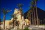 Die Statue des mythischen altägyptischen Gottes unter den Palmen