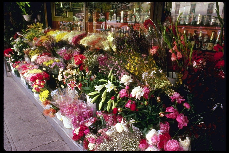 Продажа красивых цветов в Нью-Йорке