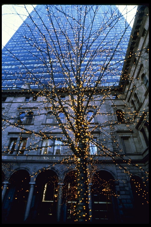 Fotos de la Navidad en Nueva York. Azul rascacielos y el árbol de luces de Navidad