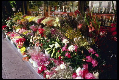 Продажа красивых цветов в Нью-Йорке