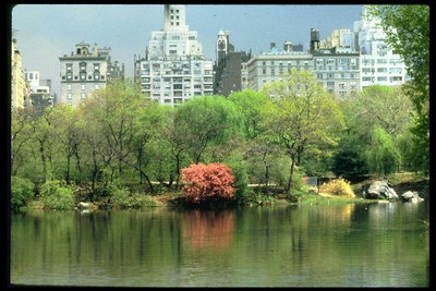 Став в парке города Нью-Йорк ранней весной
