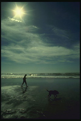 Лунная ночь на берегу океана, прогулка человека с собакой по берегу
