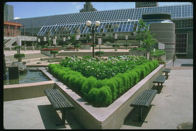 Треугольная форма клумбы с зелеными растениями у фонтана