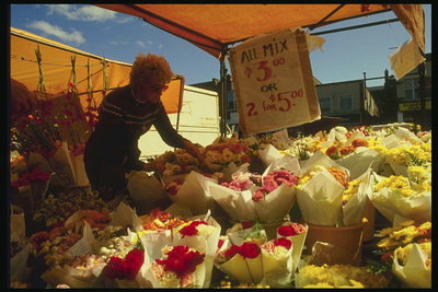 Продажей цветов в канадской столице занимается французкоговорящая мафия