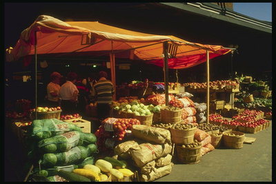 在加拿大资本市场Izobilniy：西红柿，黄瓜，白菜和土豆，甜瓜和西瓜