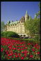 Клумба из ярко-красных тюльпанов перед культовым сооружением канадской столицы