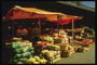 Izobilniy în pieţele de capital canadian: tomate şi castraveţi, varză şi cartofi, pepeni galbeni şi pepeni verzi